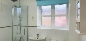 The Belmont, Old Town