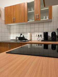Spacious & Deluxe big apartment near Prater