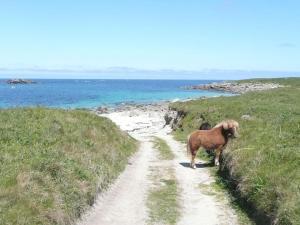 Maisons de vacances Breton granite stone house with fantastic sea views : photos des chambres