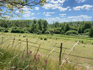 Maisons de vacances Gite Saint-Lubin-en-Vergonnois, 3 pieces, 5 personnes - FR-1-491-315 : photos des chambres