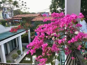 Coto Island Beach Village Homestay