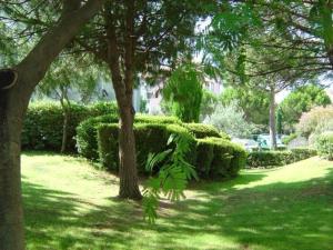 Appartement 2 Pièces Cabine avec Terrasse, Clim, Piscine et Proche Plage - 6 Couchages - FR-1-307-147