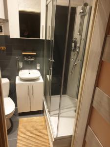 Apartamenty Rynek F