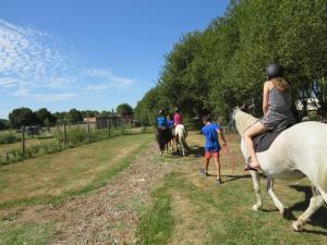 Campings Camping Les P'tites Maisons dans la Prairie : photos des chambres