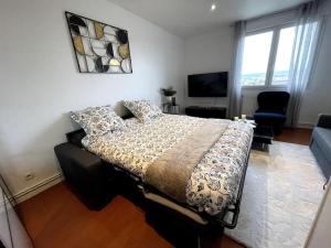 Appartements Logement tres cosy en plein centre-ville : photos des chambres