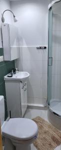 Apartament Busko-Zdrój - Franio