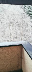 The spots - 300m from the Gondola