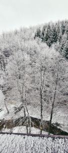 The spots - 300m from the Gondola