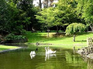 Appartements RARE : Calme et detente a Nantes ! : photos des chambres