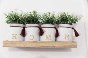 SPA, TERRASSE plein centre et proche gare