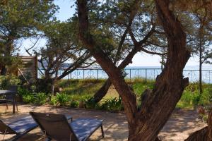 Hotels Hotel & Lodges Moby Dick : photos des chambres