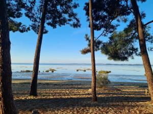 Appartements Appartement d'une chambre avec jardin clos et wifi a Ares a 1 km de la plage : photos des chambres