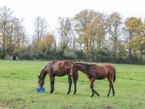 Palmers Green Cottage