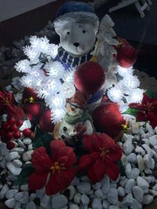 Diyo Apart Festspiel Bayreuth