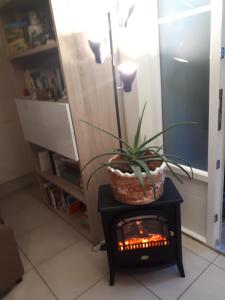Sejours chez l'habitant Les ecureuils bourguignons : photos des chambres
