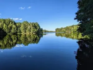 Red Tree Resort LLC - Prentice