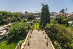 Cedofeita Back Garden