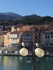 Loft du soleil, 1ère ligne, proche des criques et de Collioure