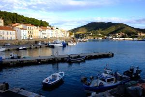 Loft du soleil, 1ère ligne, proche des criques et de Collioure