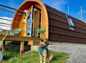 The Sleepy Crofter Glamping - Achiltibuie
