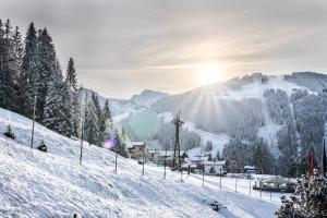 Appartements Elisabeth