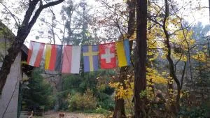 Olchowy Młyn - Drezdenko