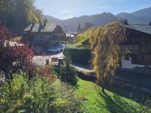 Appartements Appartement Morzine, 4 pieces, 8 personnes - FR-1-524-114 : photos des chambres