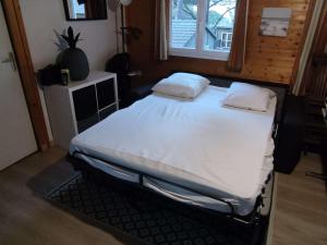Chalet climatisé avec piscine chauffée et parking dans une pinède calme - FR-1-607-64