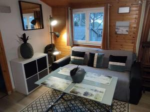 Chalet climatisé avec piscine chauffée et parking dans une pinède calme - FR-1-607-64