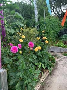 Amazing Santa Cruz Landscaped Paradise