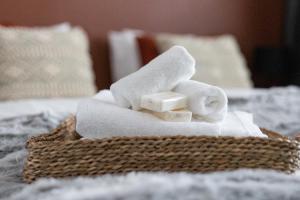 Arctic Night City Suite