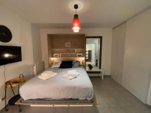 Appartements Studio « Chic » renove lyon 8eme : photos des chambres