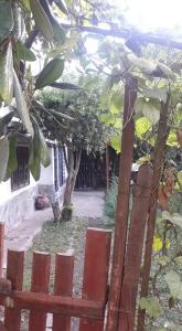 Cabañas Lagos Dos Molinos