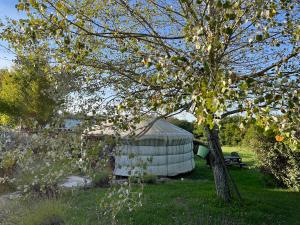 Campings La Buissonniere - Lodges & SPA : Chalet 1 Chambre