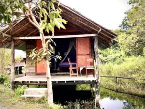 Frog Garden Hut