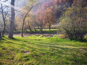 Căsuțe Zăvoi Bulz