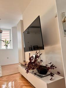 The Goldie Apartment