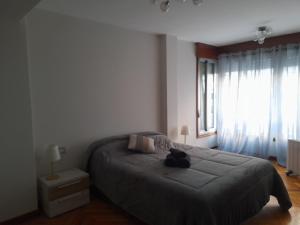 Centro Vigo Apartament Pl America