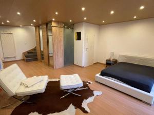 Jadore - Appartements meubles Mulhouse Ville : Appartement en Duplex