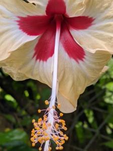 Comfortable Casita, walking distance to the Beach