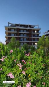 SummerhouseVelipoje-Te Kompleksi Fishta-Q1,36