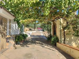 Casa el Pino