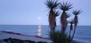 Esperanza - Santa-Maria-Poggio