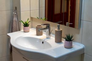 Budapest Deluxe Apartment with free car park