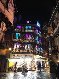 Colmar,appart chaleureux 2 pas centre avec jardin