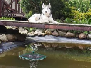 Guest House - Kretinga