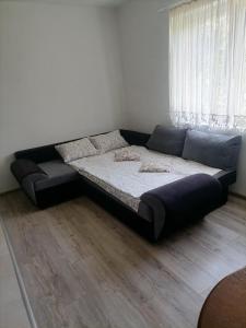 Apartmani Vesna