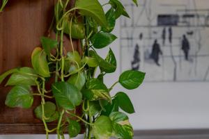 Casa Dartista - charming apartment + Parking