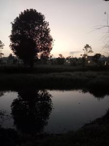 D&Dโฮม@เขาค้อ