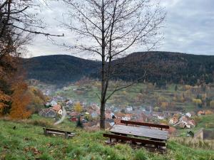 Chalets Le Paradis de Verdure : photos des chambres